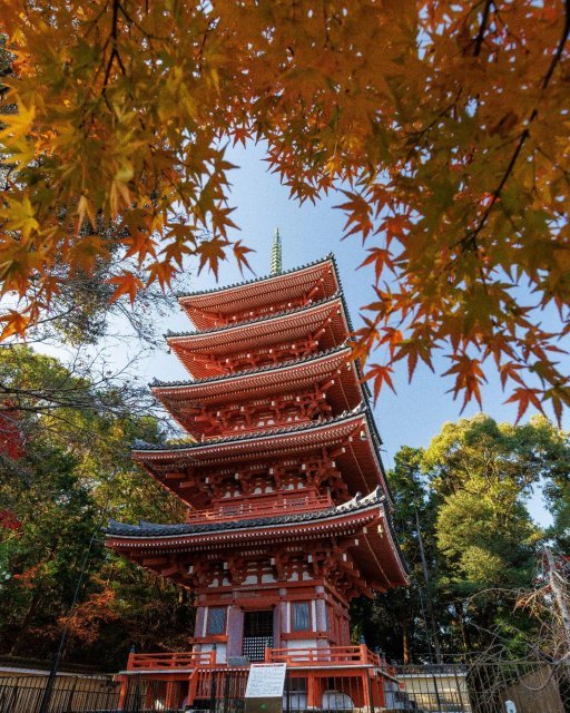 🏯 죽림사 (치쿠린지) 이미지 4